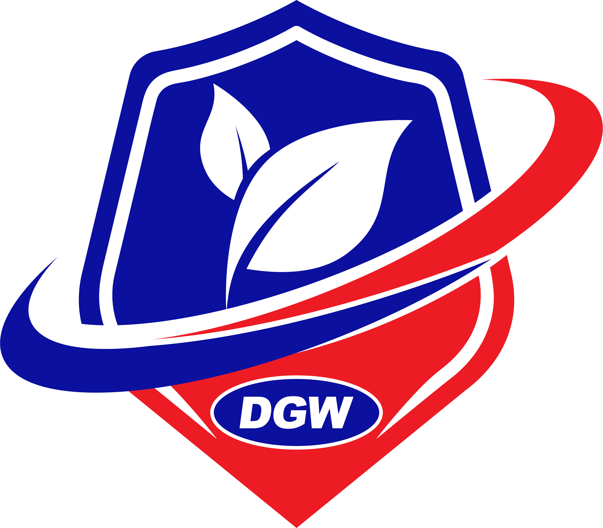 DGW Solution