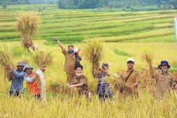 Cara Meningkatkan Hasil Panen Dengan Budidaya Tanaman