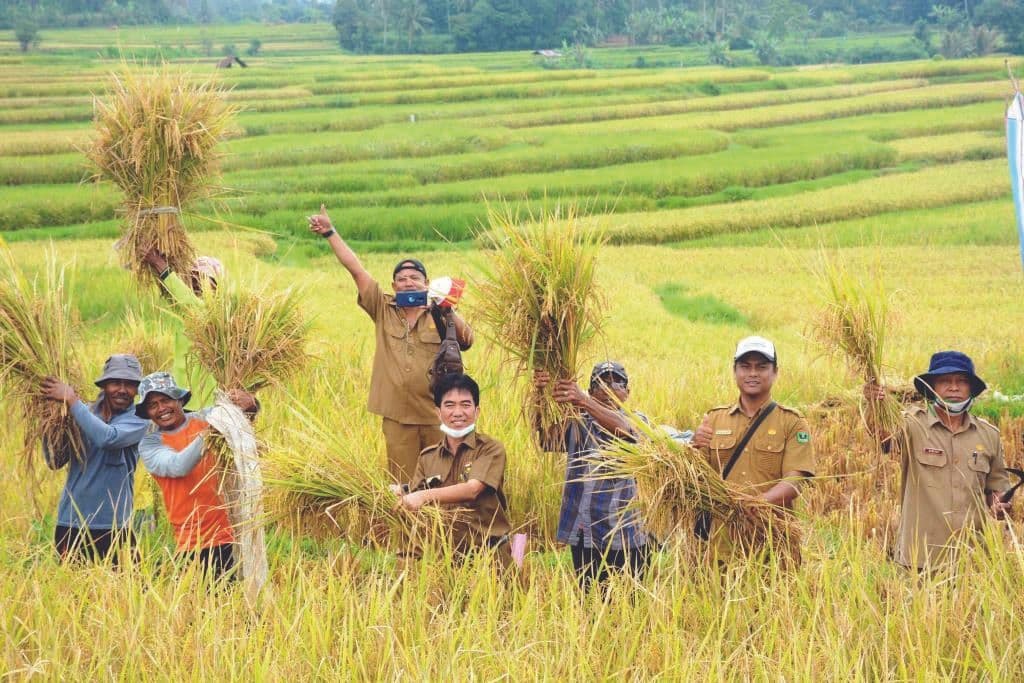 Cara-Meningkatkan-Hasil-Panen.jpg