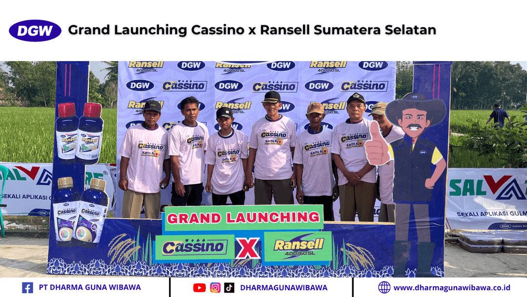 Grand Launching Cassino x Ransell Sumatera Selatan