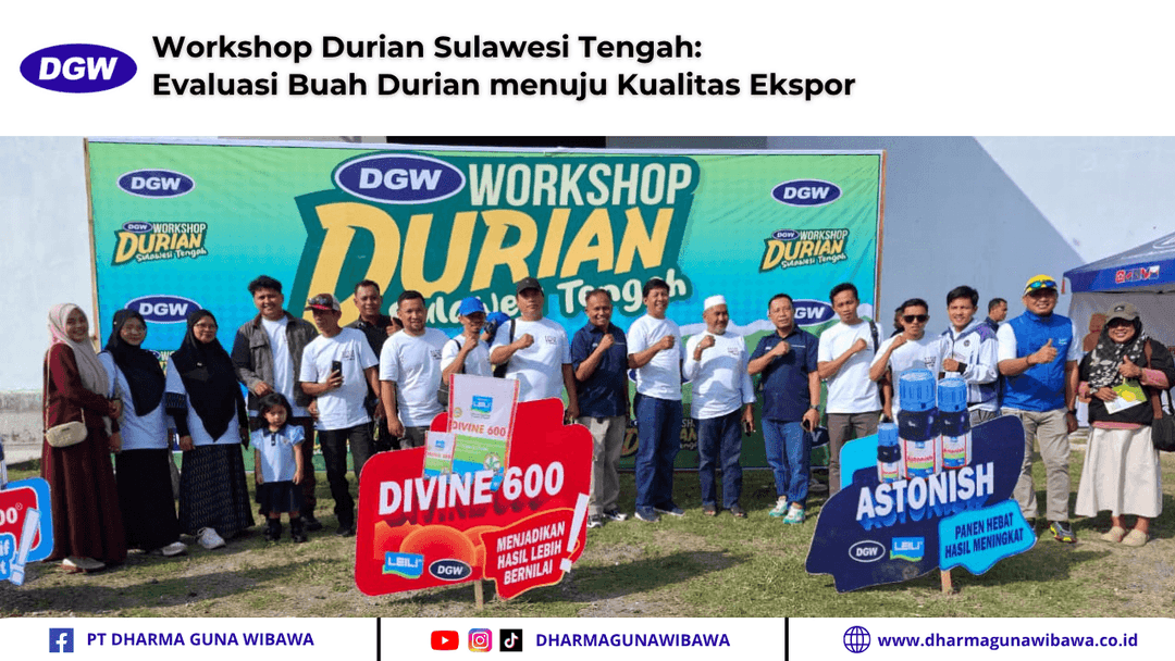 Workshop Durian Sulawesi Tengah: Evaluasi Buah Durian menuju Kualitas Ekspor