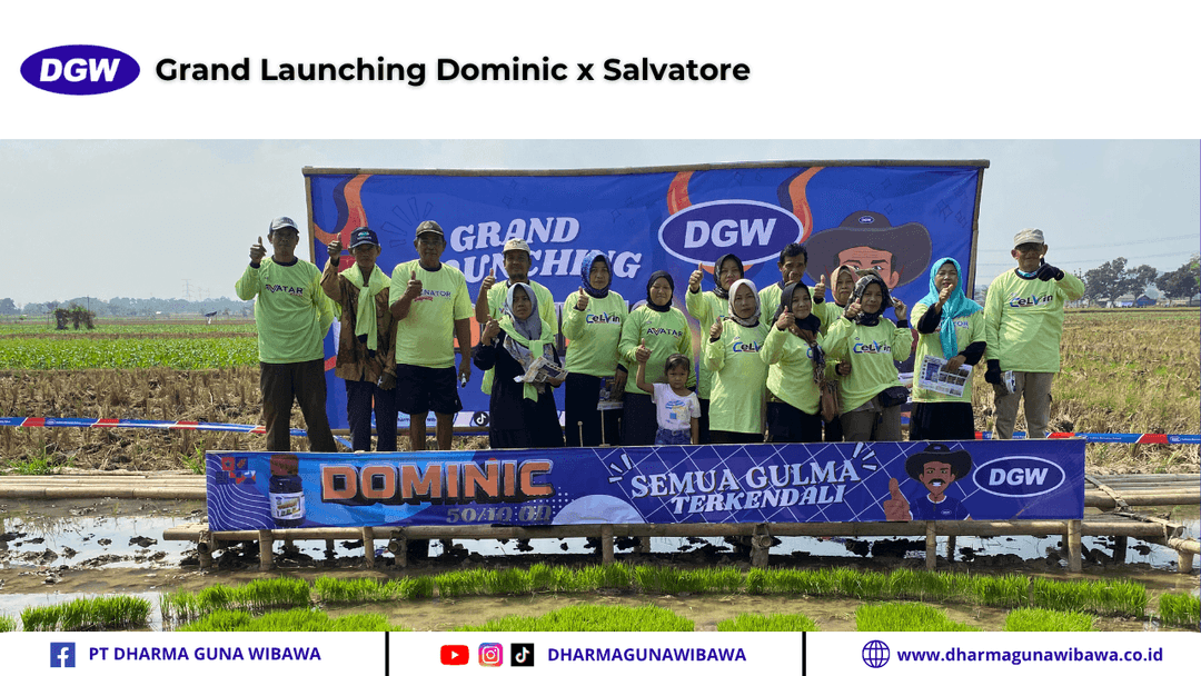 Grand Launching Dominic x Salvatore