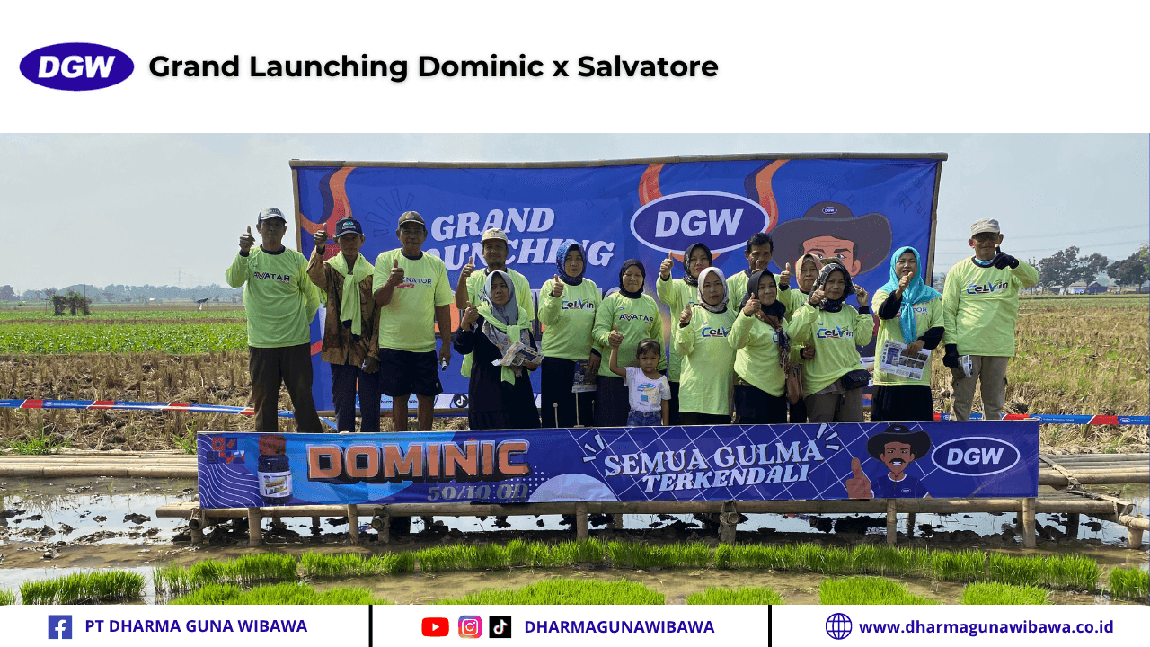 GL dominic salva.png