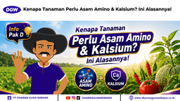 Kenapa Tanaman Perlu Asam Amino & Kalsium? Ini Alasannya!
