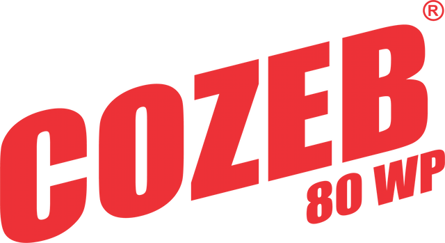 Logo Cozeb.png