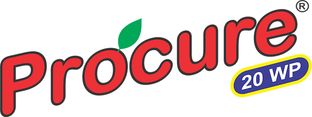 Logo Procure.png