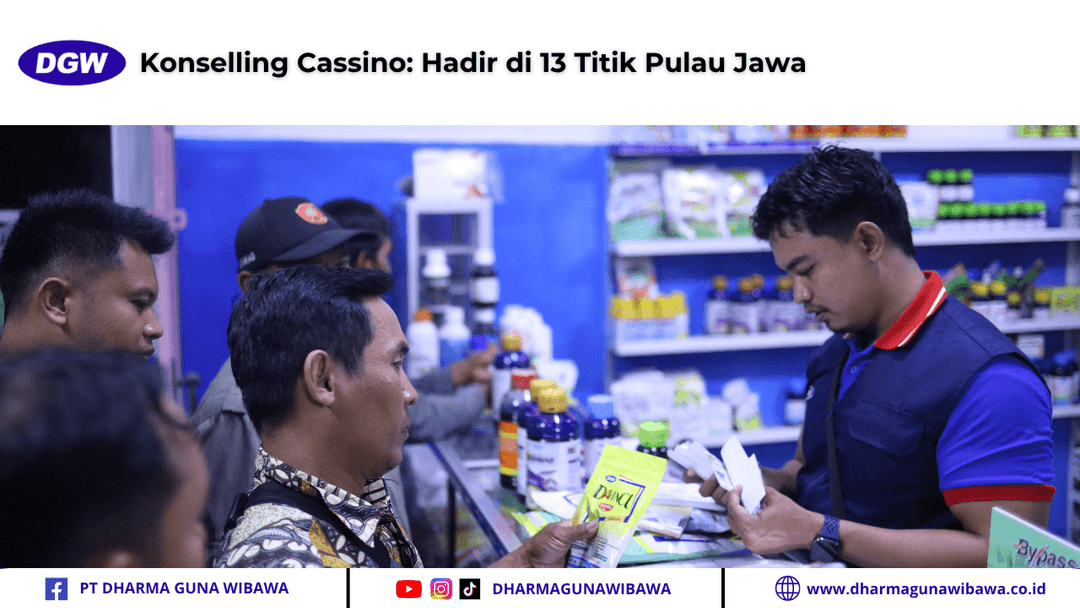 Konselling Cassino Hadir di 13 Titik Pulau Jawa
