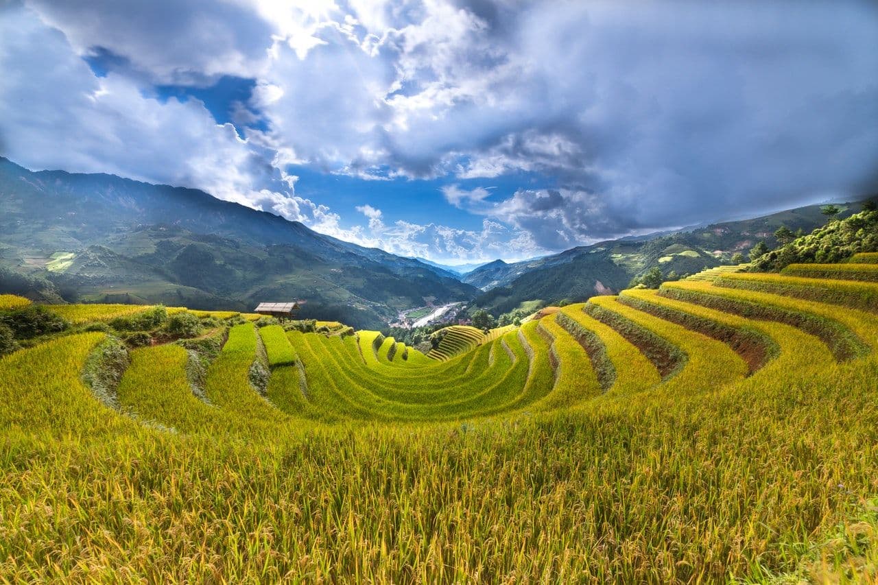 rice-terraces-2131708.jpg