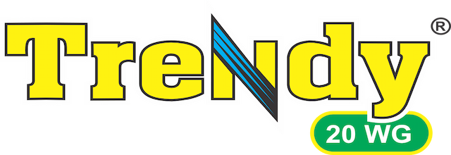 trendy WG.png