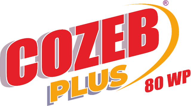 COZEB PLUS.png