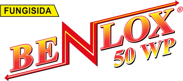 Logo Benlox.png