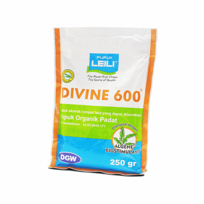 DIVINE 600