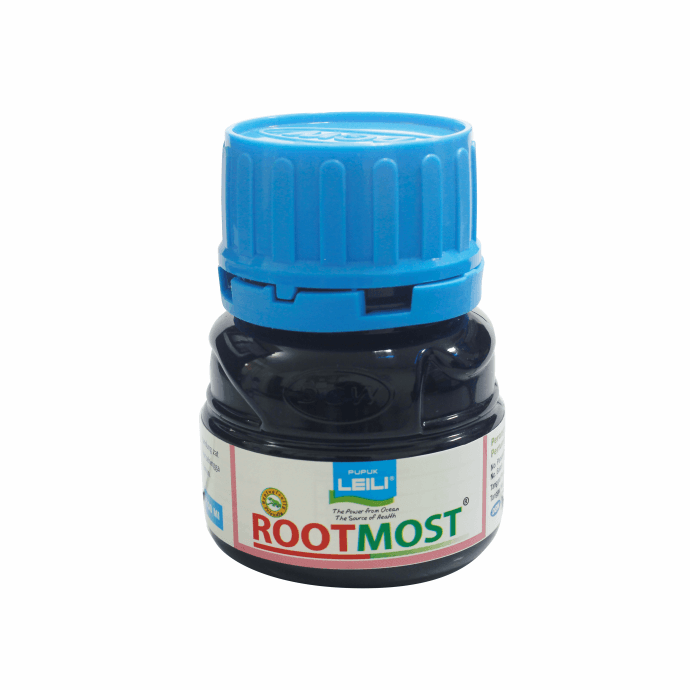 ROOTMOST