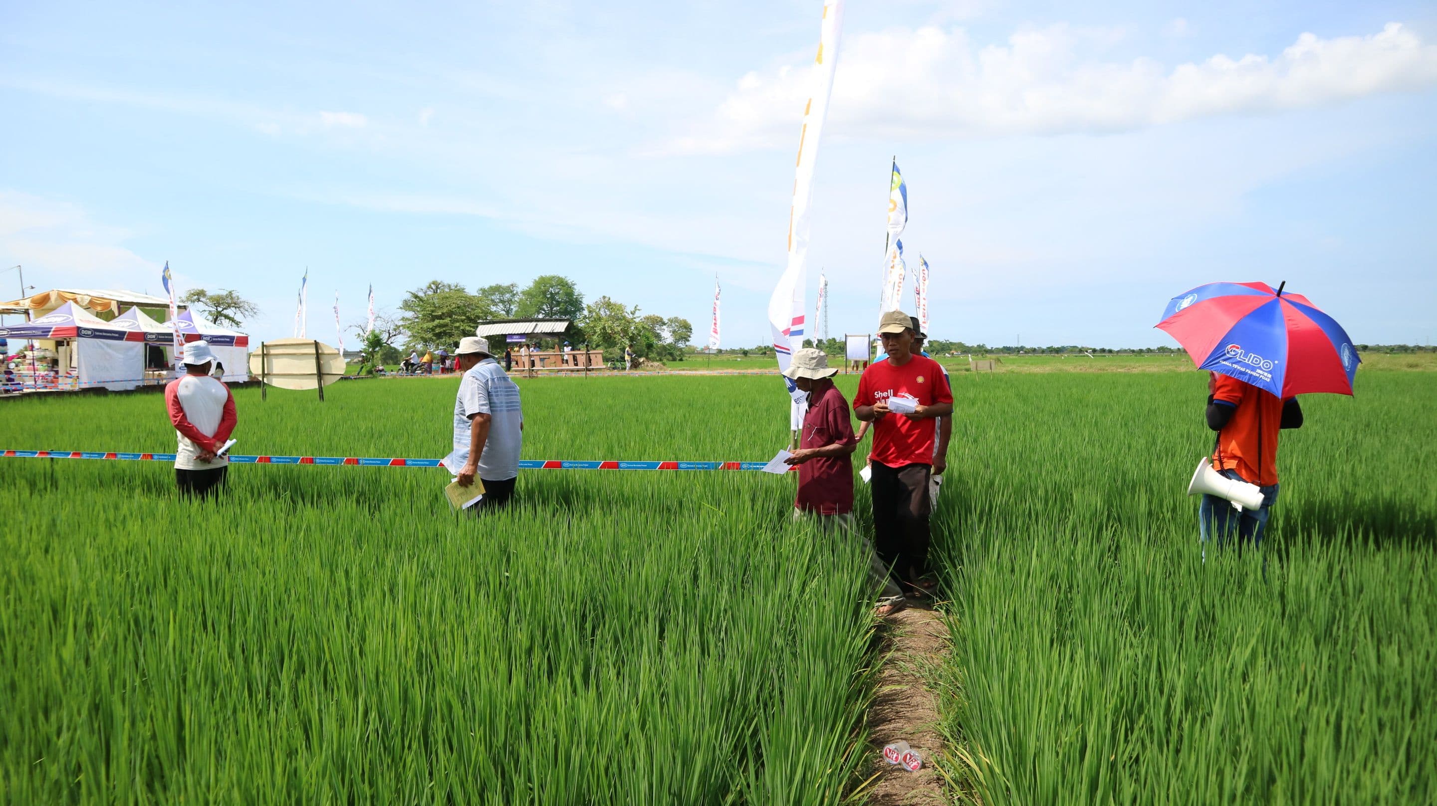 agrofair pemalang IMG_2799.JPG