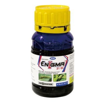 ENIGMA 21 EC