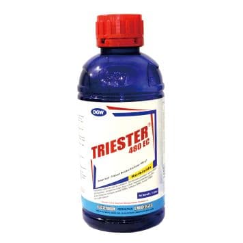 TRIESTER 480 EC