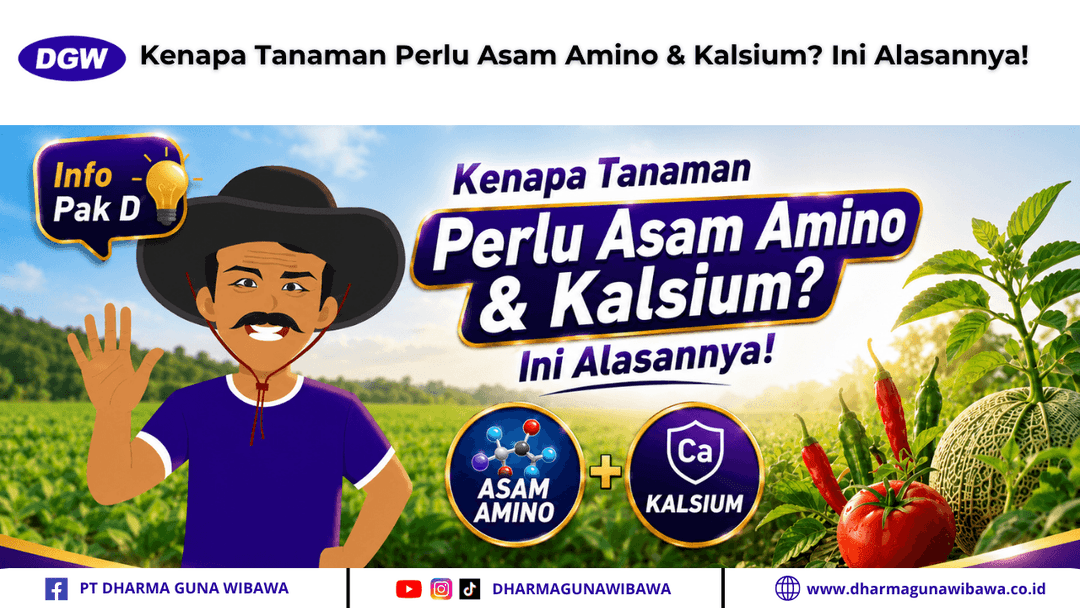 Kenapa Tanaman Perlu Asam Amino & Kalsium? Ini Alasannya!