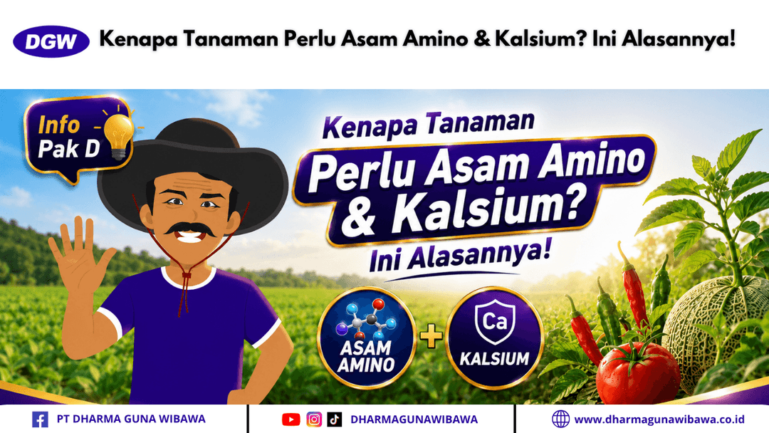 Kenapa Tanaman Perlu Asam Amino & Kalsium? Ini Alasannya!