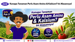 Kenapa Tanaman Perlu Asam Amino & Kalsium? Ini Alasannya!
