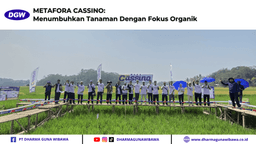 METAFORA CASSINO: Menumbuhkan Tanaman Dengan Fokus Organik