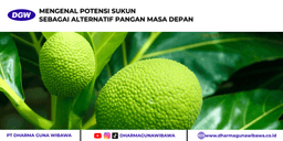 MENGENAL POTENSI SUKUN SEBAGAI ALTERNATIF PANGAN MASA DEPAN